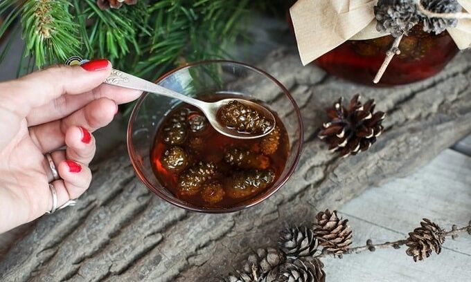 Tinktūra pušų pumpurų pagrindu gimdos kaklelio osteochondrozės gydymui namuose